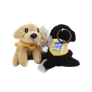 Porte-clefs Lascar