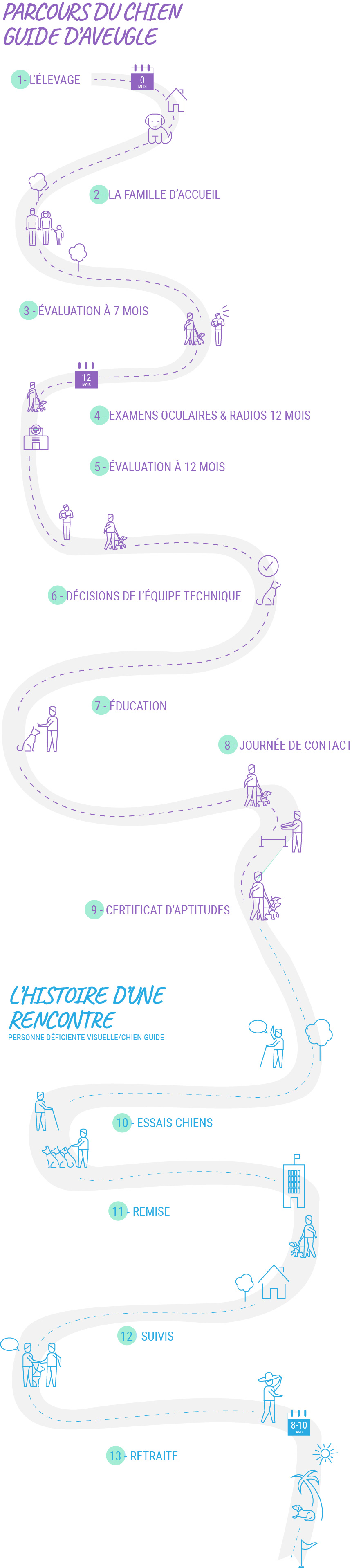 PARCOURS DU CHIEN GUIDE D’AVEUGLE