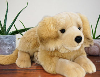 peluche Grand-golden