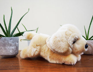 peluche golden petit modèle