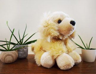 Peluche golden moyen modèle