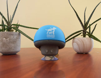 enceinte bluethooth bleu avec logo de l'association