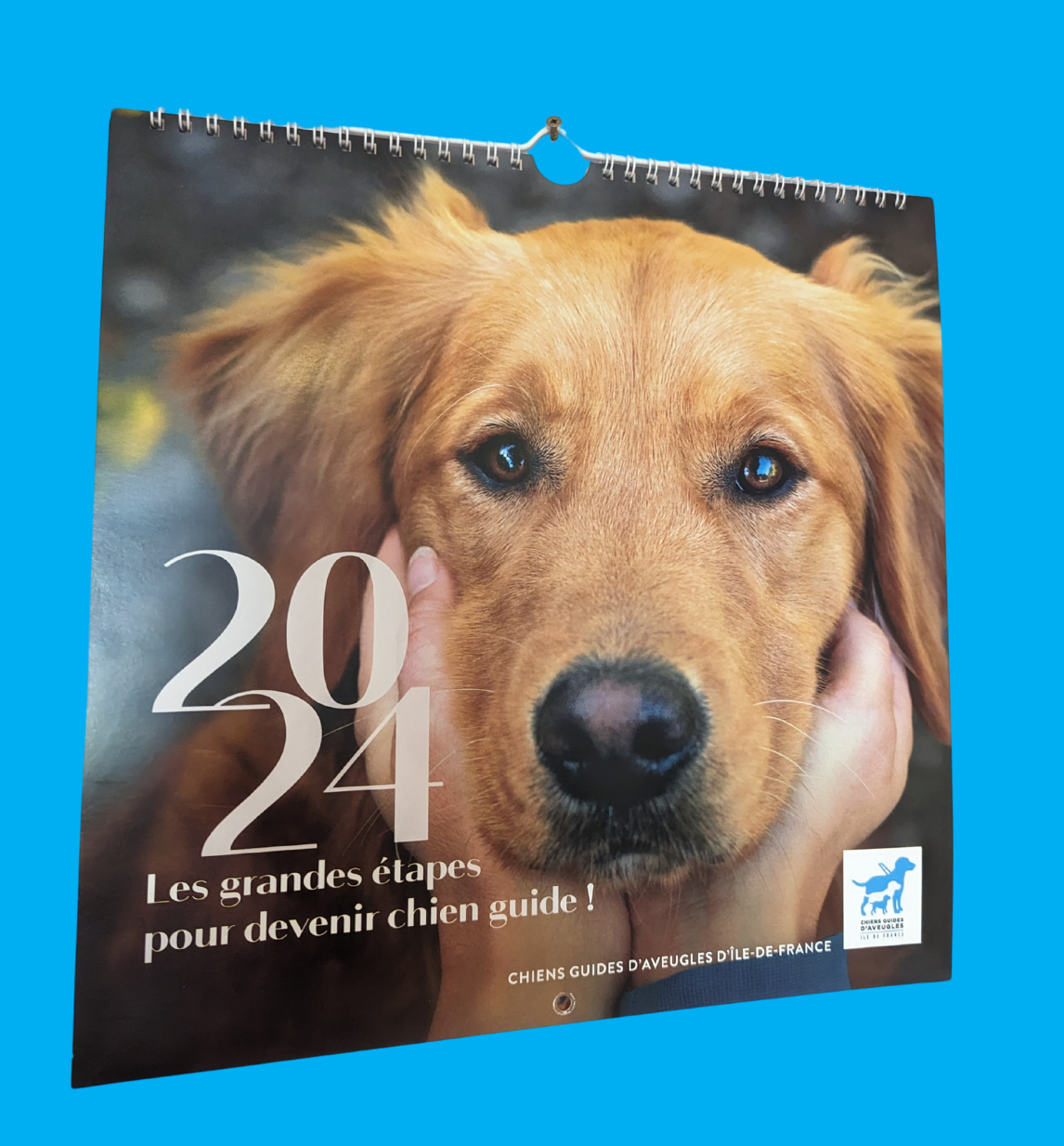 Calendrier 2024 - Chiens Guides d'Aveugles d'Île-de-France