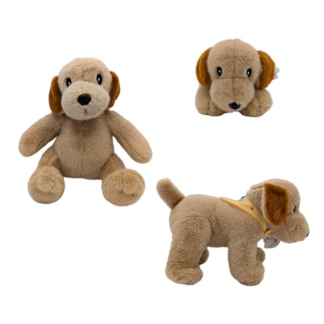 Peluches Lascar Labrador - Assis - Couché - Debout