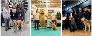 3 photos de Titan lors de la sensibilisation à Safran, au Paris Animal Show et au dîner de gala caritatif organisé par Lions Clubs de Draveil