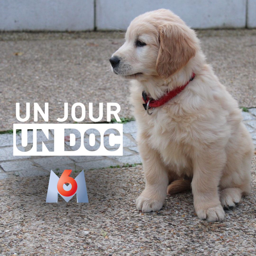 Affiche de Vibes pour l'émission "Un Jour Un Doc"