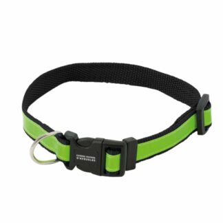 Collier pour chien