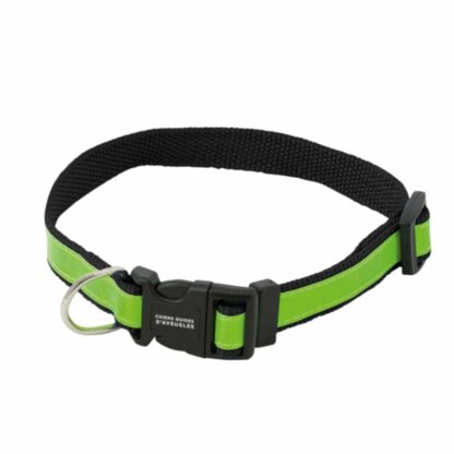 Collier pour chien