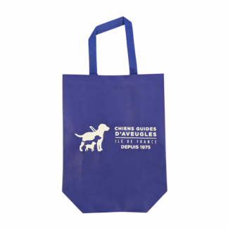 Petit sac cabas