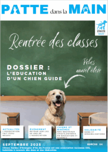 Labrador dans une salle de classe